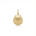 Shell Charm EMVE Jewels