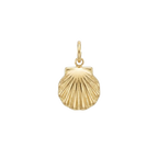 Shell Charm EMVE Jewels