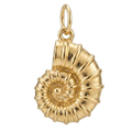 Abalone Shell Charm Gold EMVE Jewels