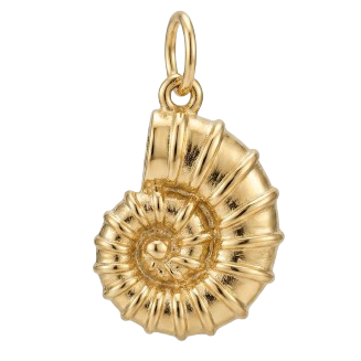 Abalone Shell Charm Gold EMVE Jewels